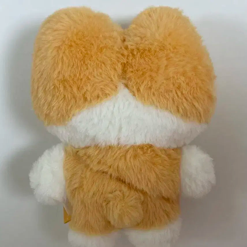 백현 터래기 20cm인형 (포카포함)