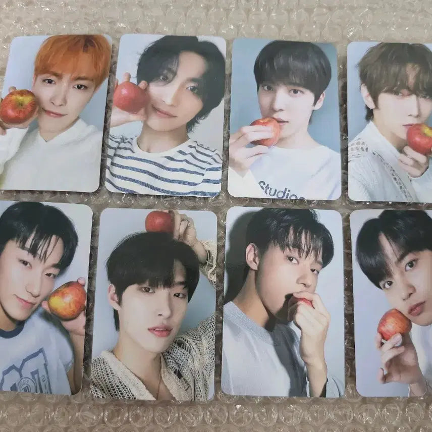 에이티즈 에버라인 특전 일괄