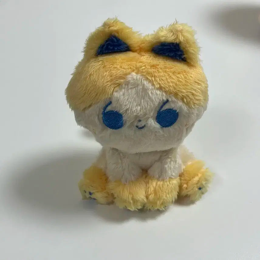 샤이니 태민 인형 앉은 탬냥이