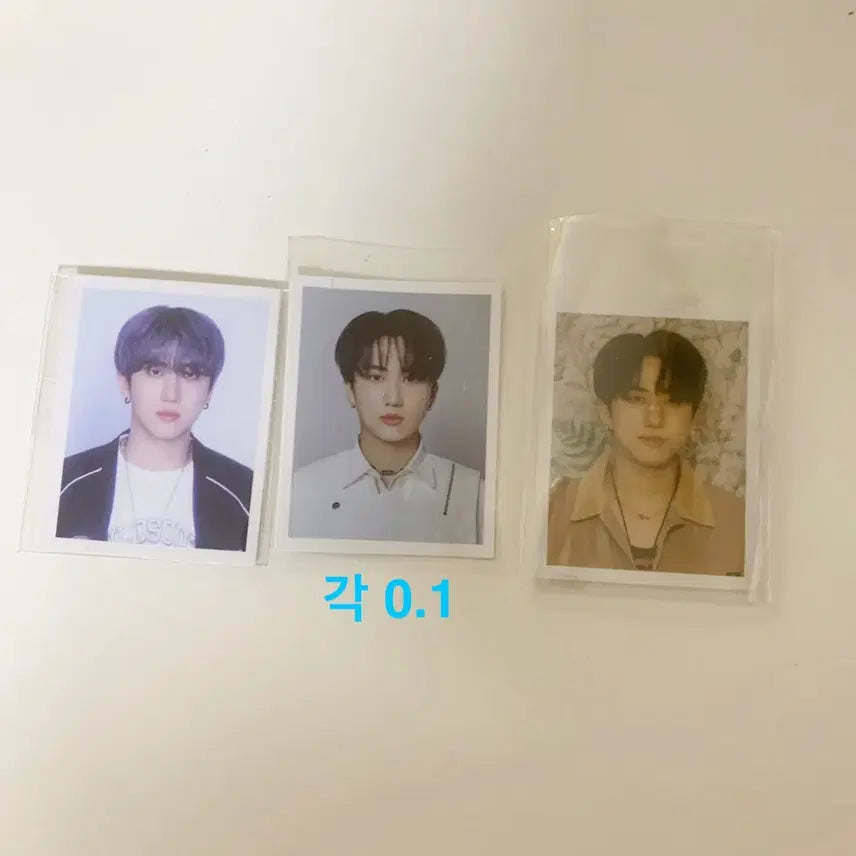 스키즈 창빈 증명사진 일괄