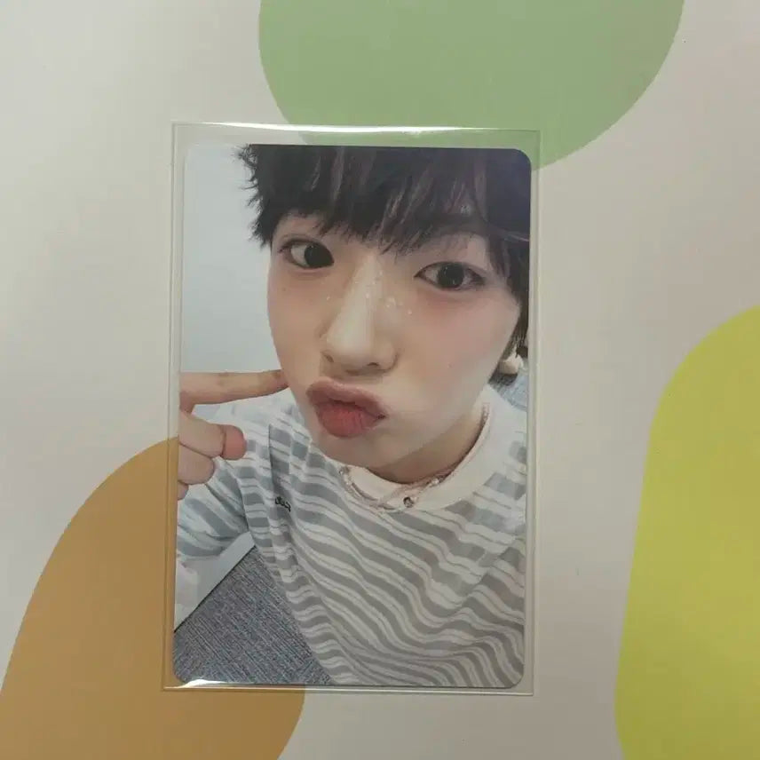 엔시티 위시 사쿠야 포카