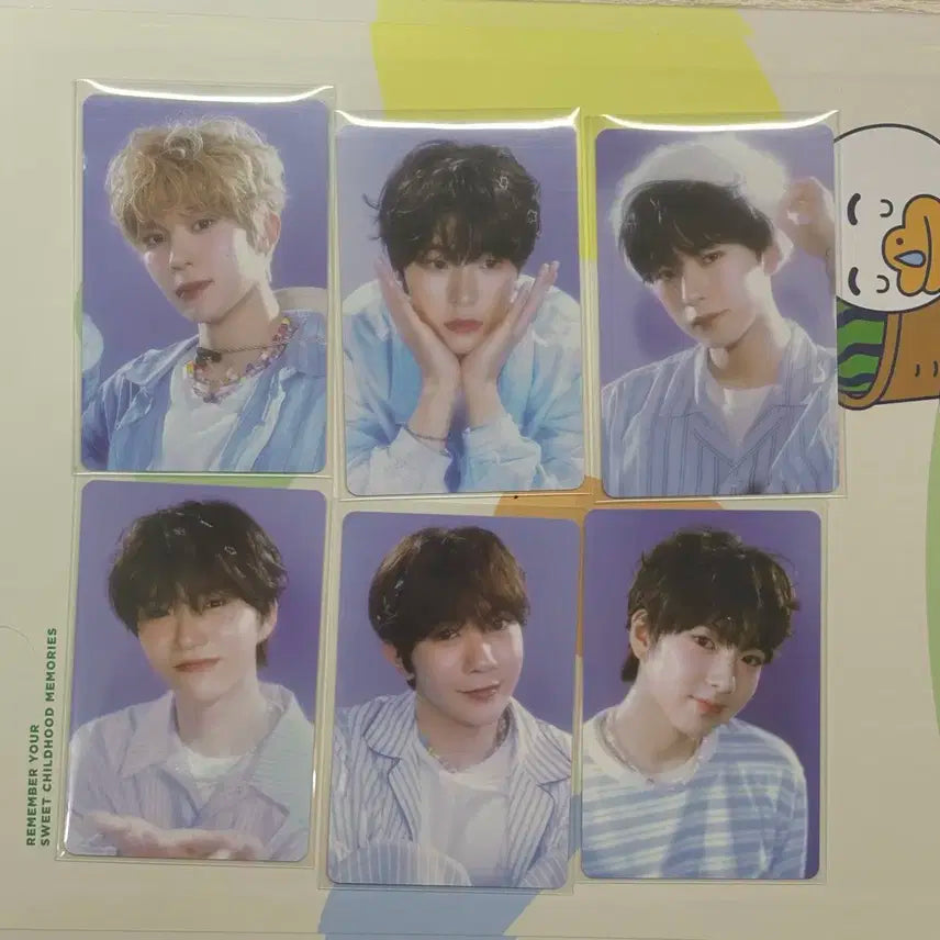 엔시티 위시 시그 포카 일괄