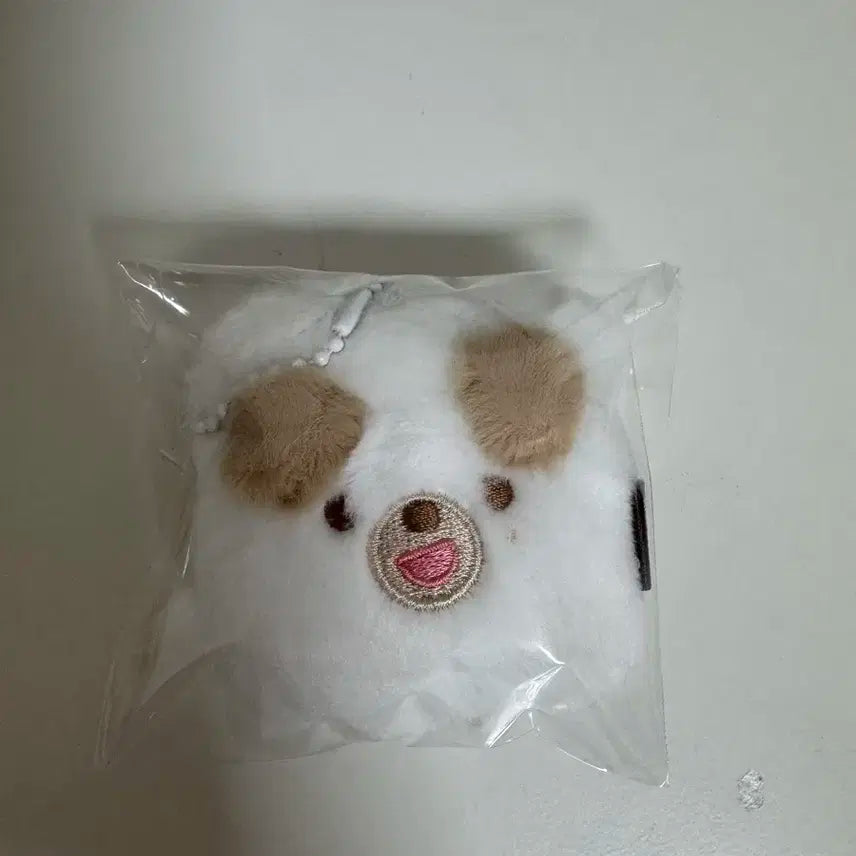 데이식스 증사홀더 돈