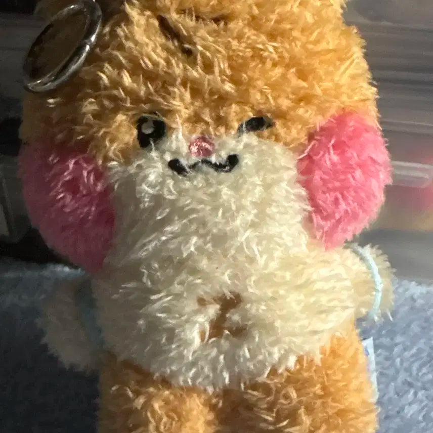 제로베이스원 제베원 성한빈 제로니 메세지 중형 비니니