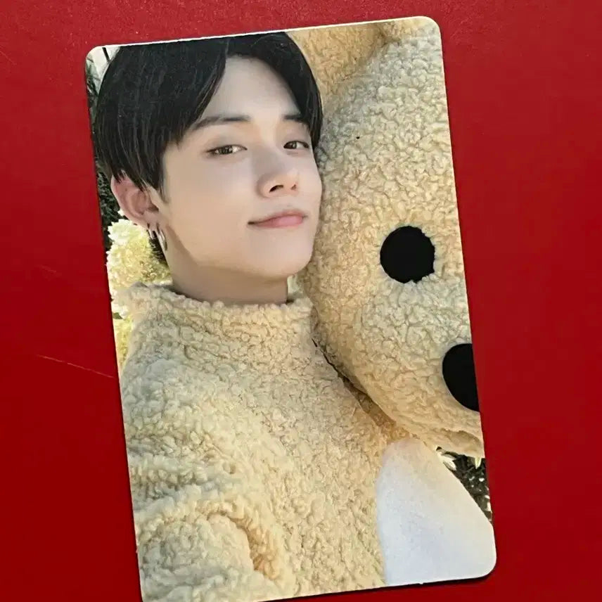 데코키트 연준
