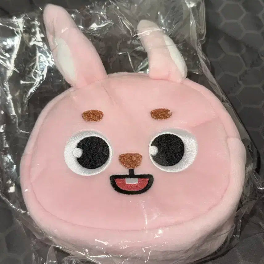 미개봉)데이식스 데니멀즈 일본콘 엠디 페이스파우치 필 필끼