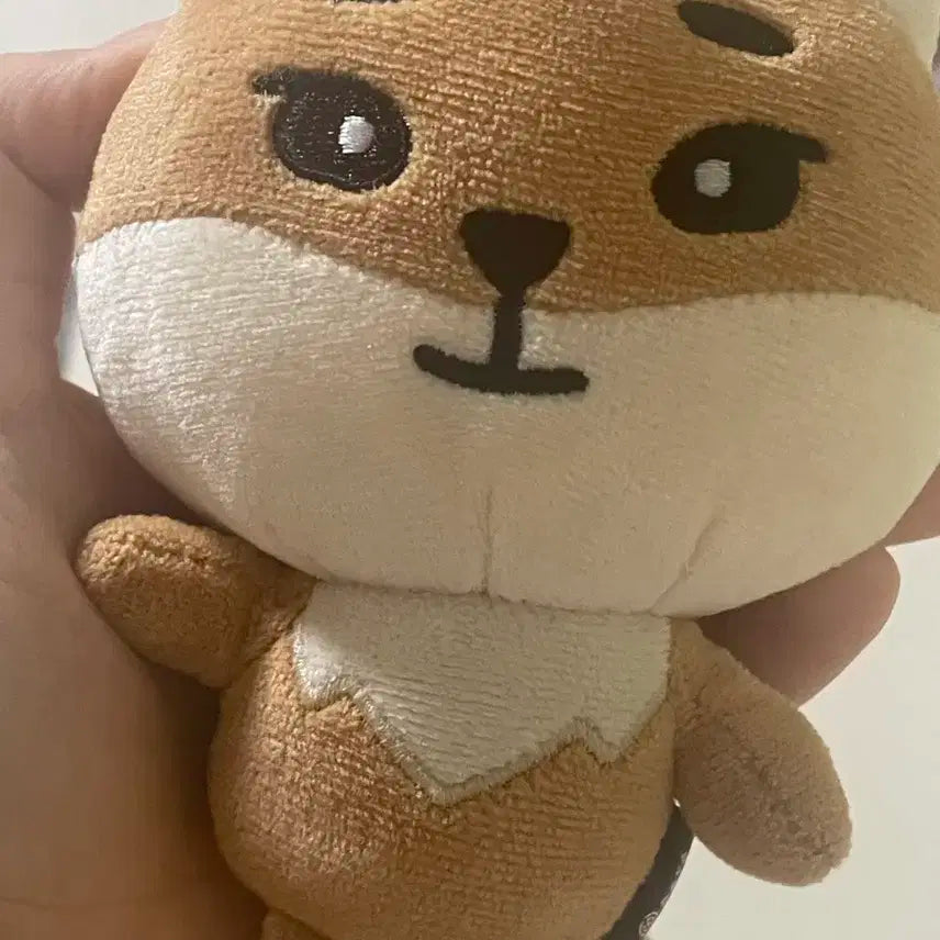 24데니멀즈 케 양도합니다