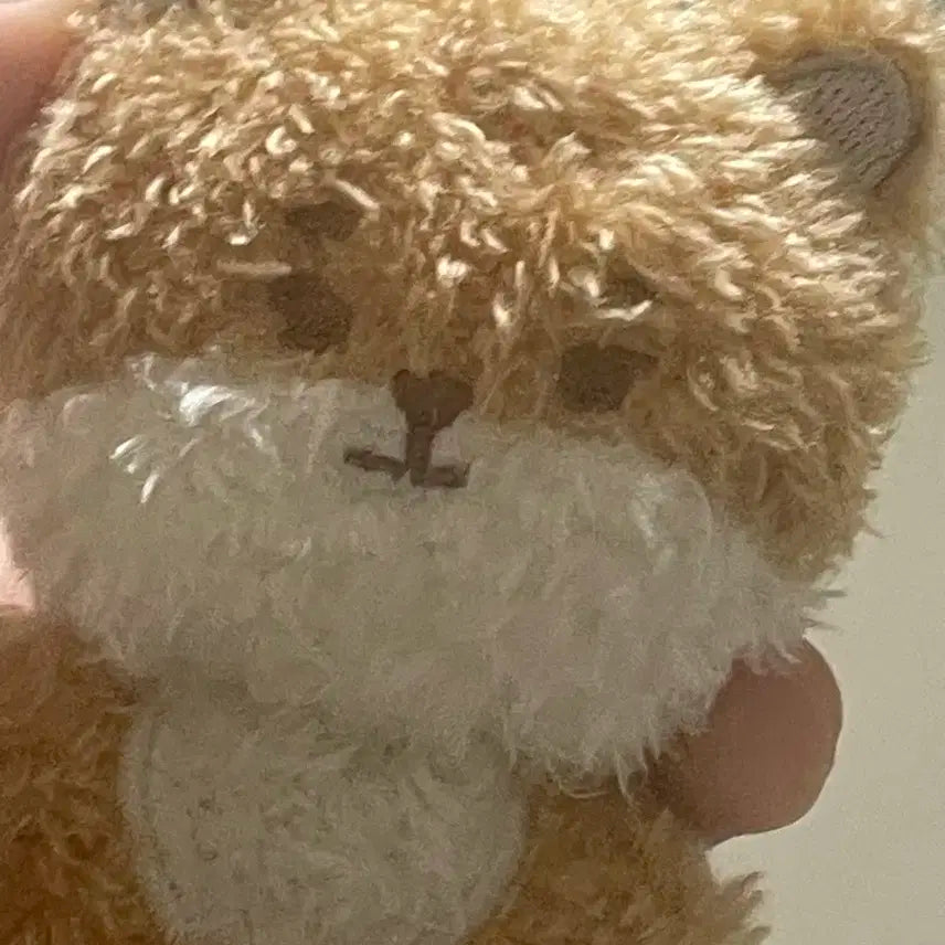 마그넷 쁘멀 케 쁘멀 마그넷 양도합니다