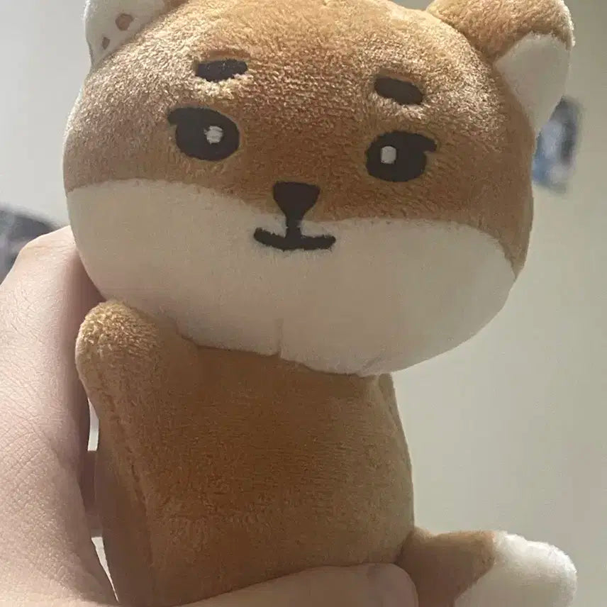 데니멀즈 손난로 케 양도합니다