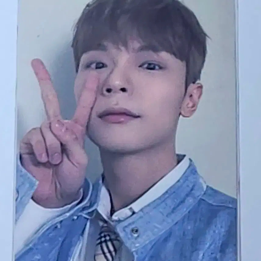열 디어마이뮤즈 신예찬