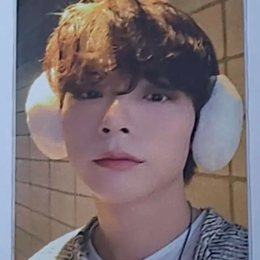 부기맨 디어마이뮤즈 신예찬 포카