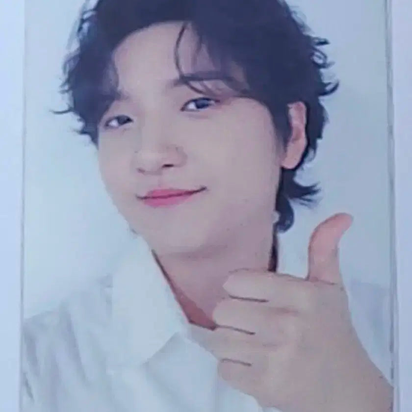 루시 열 디어마이뮤즈 신광일