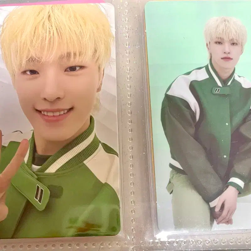 세븐틴 디노 팔로우 포카