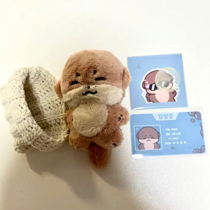 디노 인형 찬당이