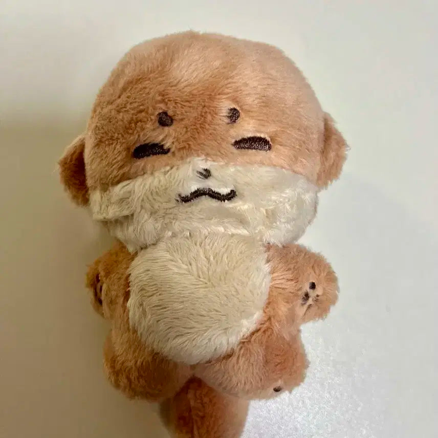 디노 인형 찬당이