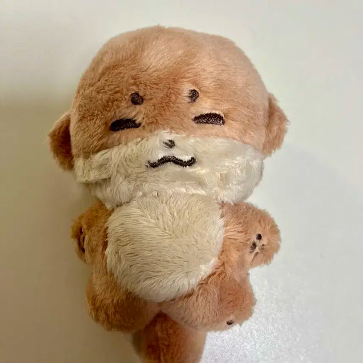 디노 인형 찬당이