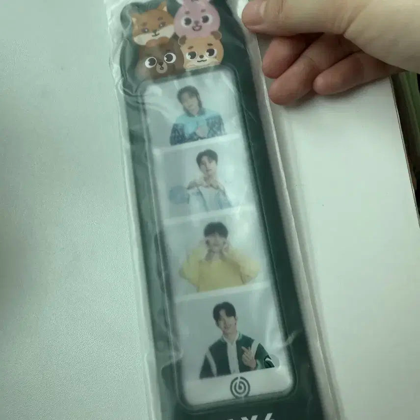 데이식스 일본 MD 네컷포토