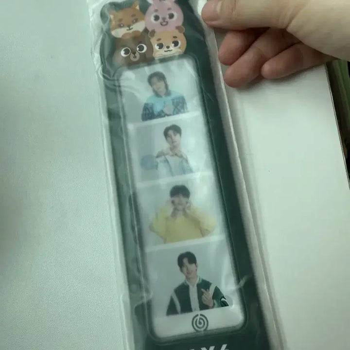 데이식스 일본 MD 네컷포토