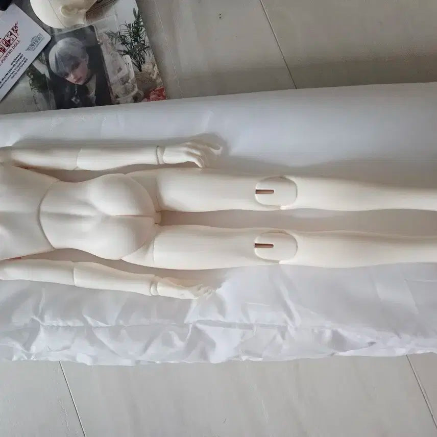 루츠돌 모델델프 구관 브리즈