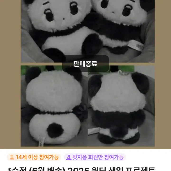 원가 이하) 판다 앉은직직이 판매