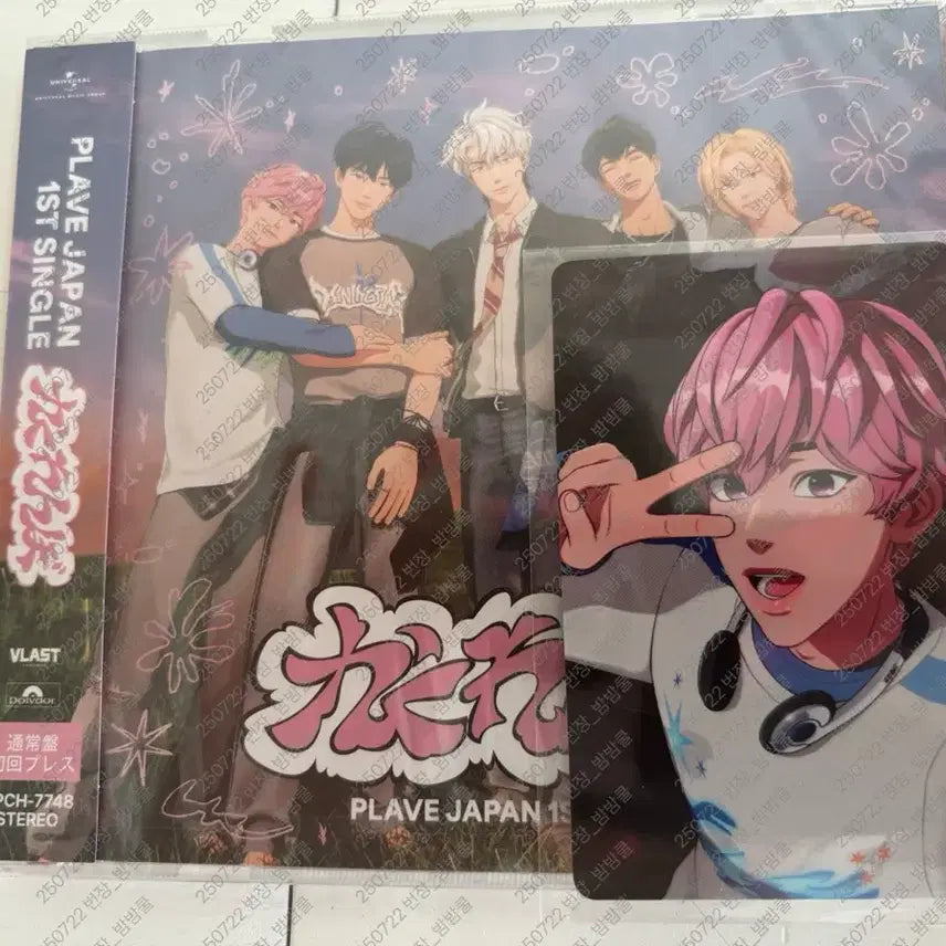 플레이브 카쿠렌보 HMV통상 양도 (미공포포함