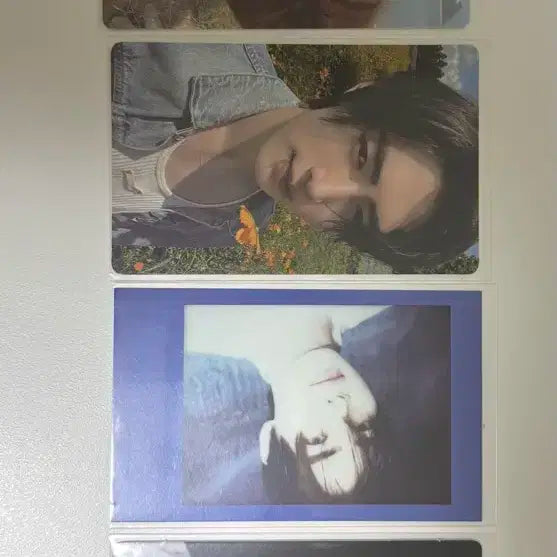 엔하이픈 성훈 포카 판매