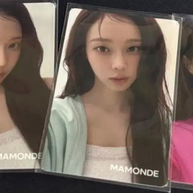 마몽드 윈터 포카 양도
