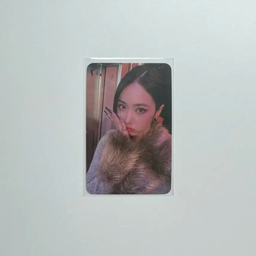 비비지 신비 풀업 뮤직뱅크 공방 포카