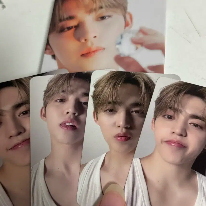 세븐틴 캐럿반 디어버전 에스쿱스 포카 북클릿 앨범