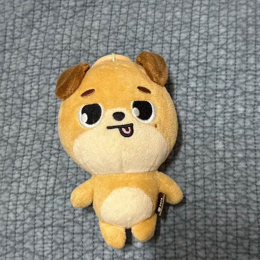 데이식스 데니멀즈 20돈 메롱돈