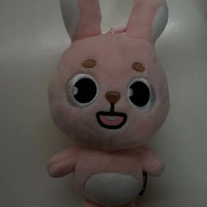 데이식스 데니멀즈 24 필끼