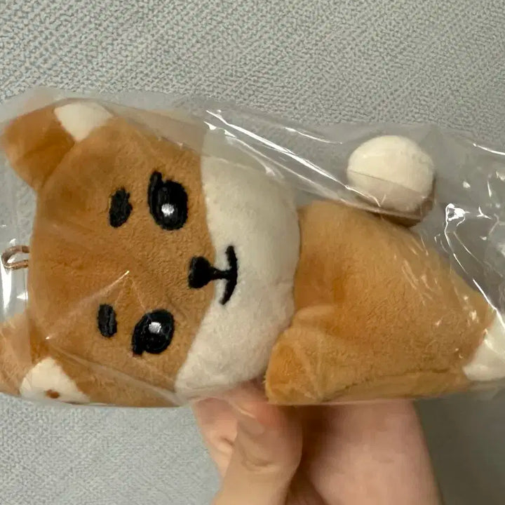 데이식스 양도 데니멀즈 손난로 인형 케
