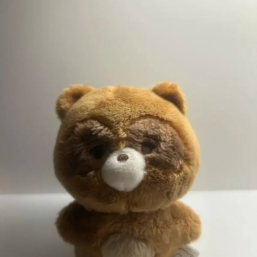 더보이즈 선우 인형 쪼구리