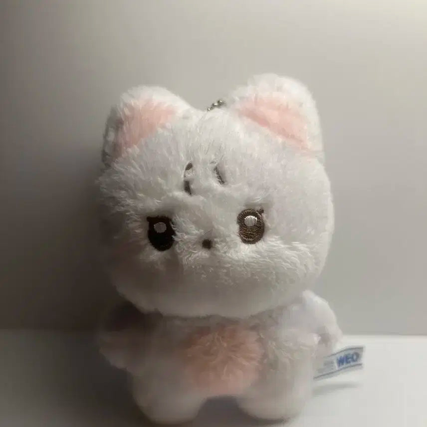 더보이즈 뉴 인형 차니냥