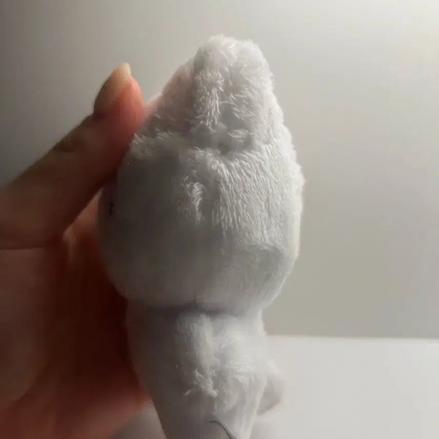 더보이즈 뉴 인형 차니냥