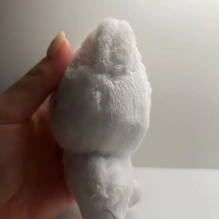 더보이즈 뉴 인형 차니냥