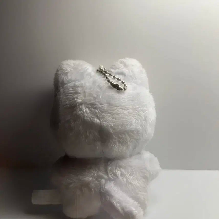 더보이즈 뉴 인형 차니냥