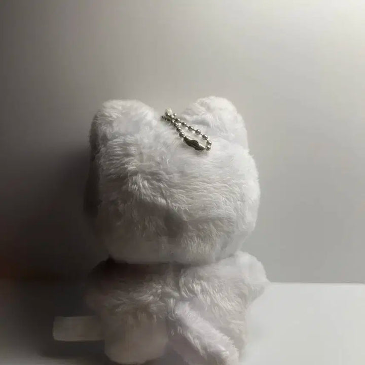 더보이즈 뉴 인형 차니냥