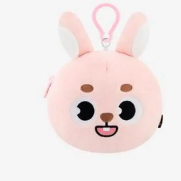 데이식스 피날레콘 데니멀즈 릴패스 파우치 양도