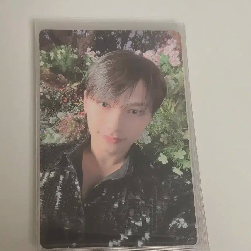 세븐틴 앨범 포카 앨포 준