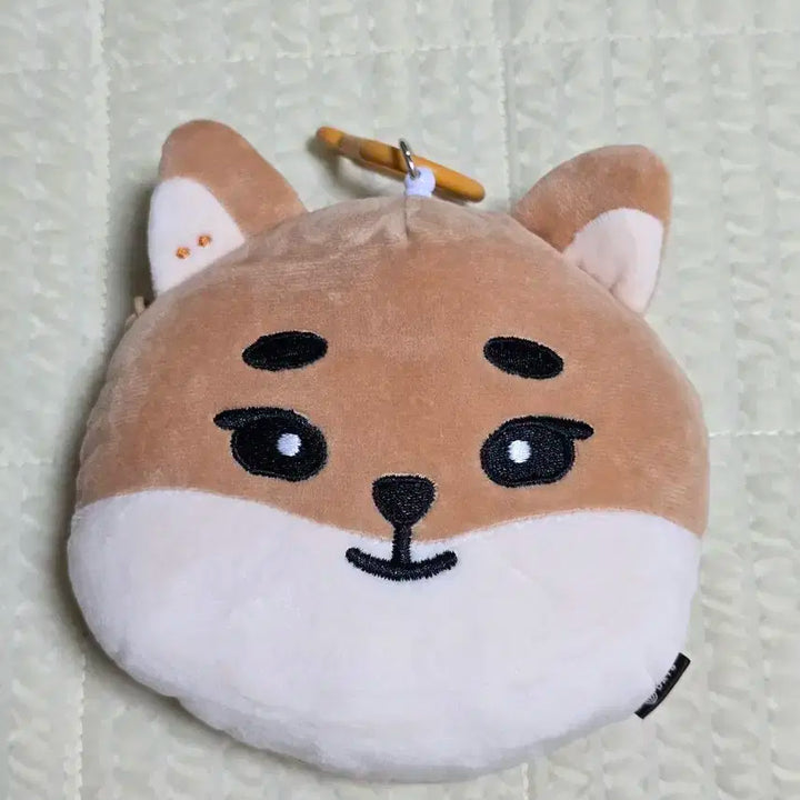 데이식스 영케이 데니멀즈 릴패스 케
