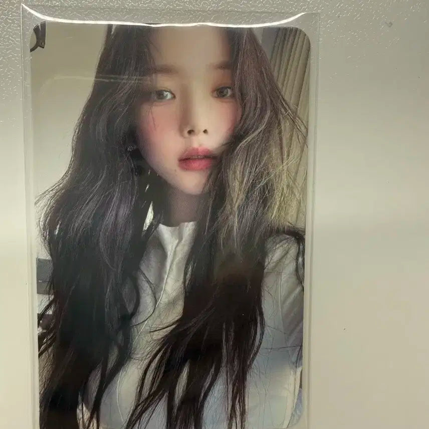 에스파 카리나 포카 양도