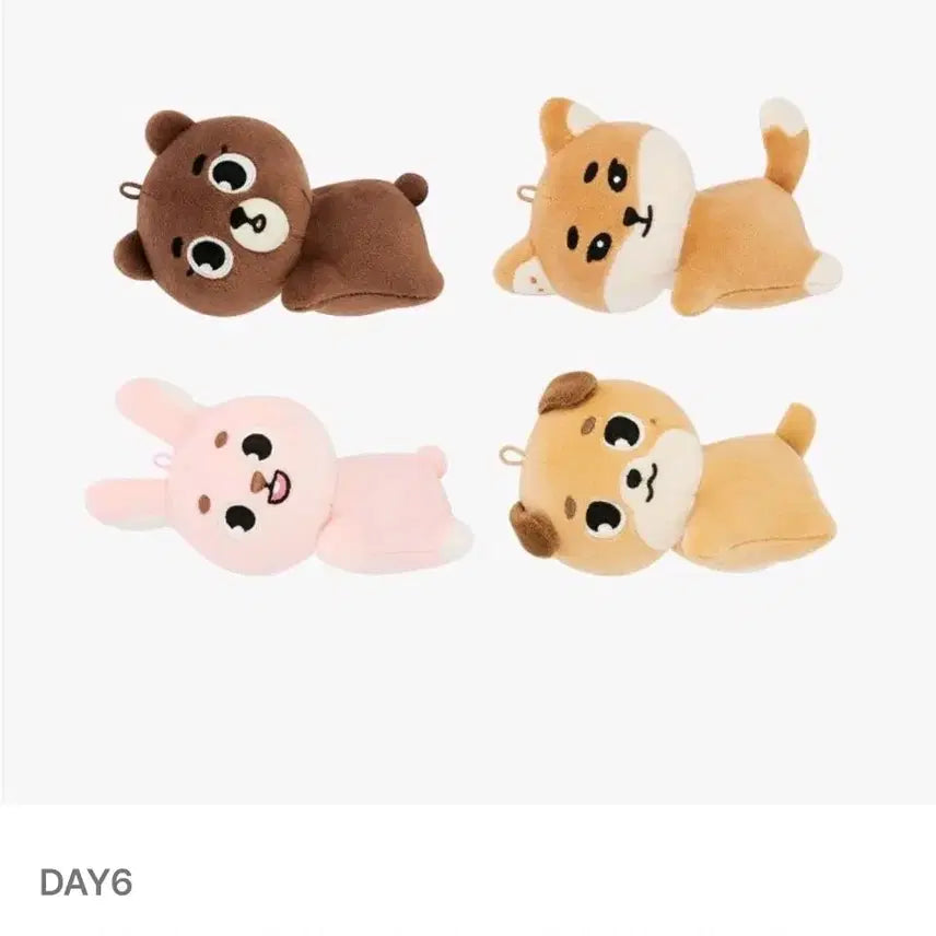 데니멀즈 손난로 방, 케, 필, 돈 (수술 완료!)