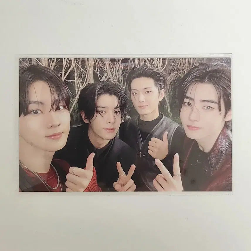 엔하이픈 웤더라인 고양콘 굿즈 포카