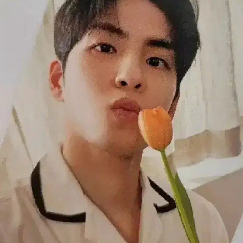 데이식스 원필 튤립 포카