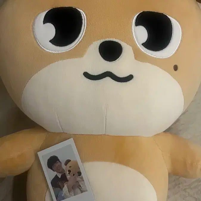데이식스 자이언트 데니멀즈 판매