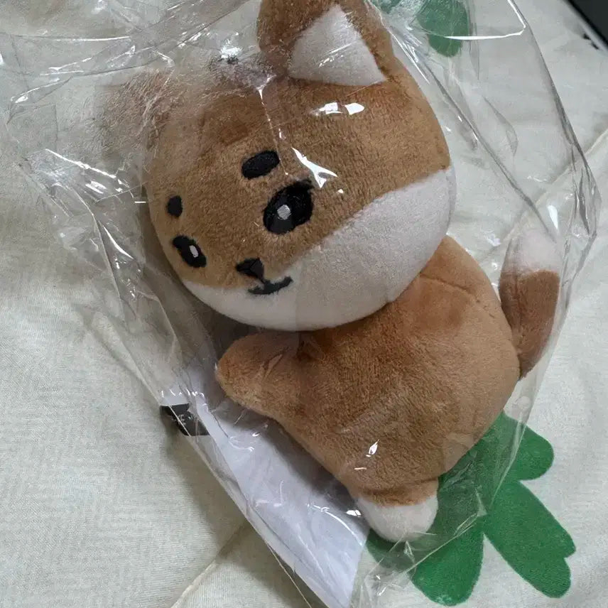 데이식스 데니멀즈 손난로 케