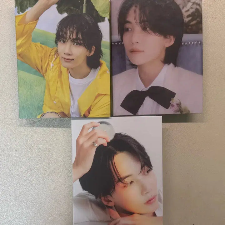 세븐틴 정한 캐럿반 포카 바인더 세트 양도