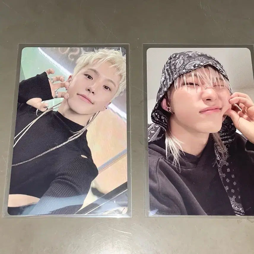BEAM 세븐틴 호시 포카