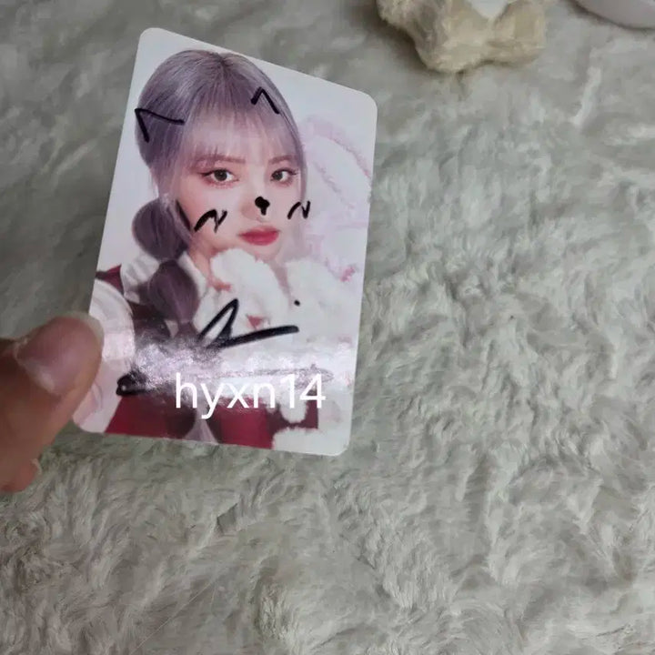 아이브 리즈 러브드 싸포